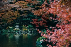 Hidden Gems in Nara: Discovering Nara Beyond the Main Attractions