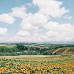 How to Get Around Hokkaido: Transportation Guide for Travelers