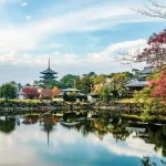 Is a Day Trip to Nara Worth It? Your Essential Guide