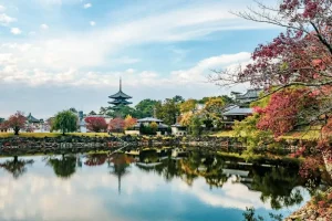 Is a Day Trip to Nara Worth It? Your Essential Guide