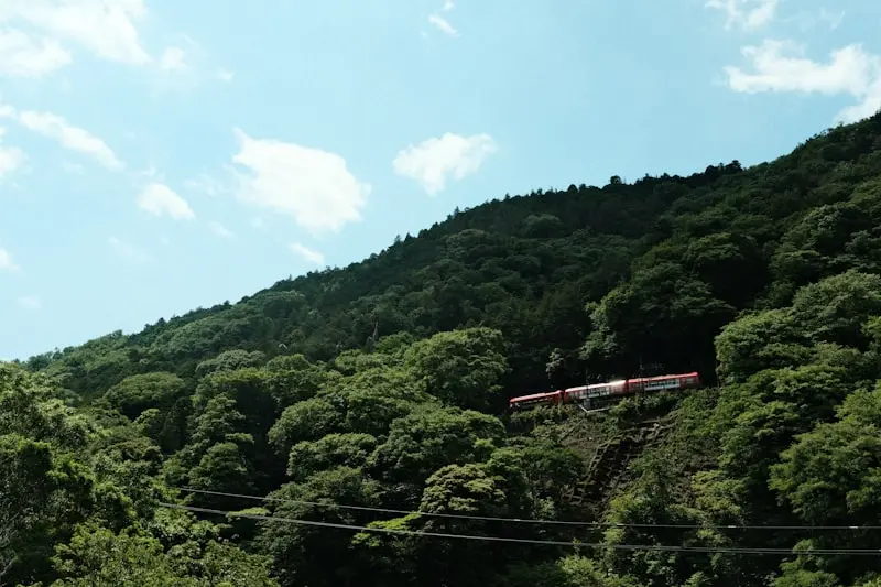 Japan in August 2026: Discovering Cool Escapes