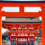 Japan in August 2026: Embracing the Sound of Summer Cicadas