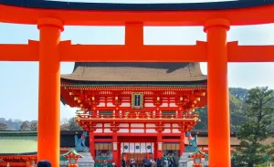 Japan in August 2026: Embracing the Sound of Summer Cicadas