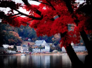 Kanazawa Itinerary: Discover Japan’s Hidden Samurai City &amp; Garden Gem