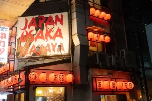 Kansai Airport to Osaka City: Your Best Transport Options Explained