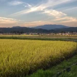 Mount Fuji Views in Hakone: Best Spots for Iconic Photos &amp; Onsens