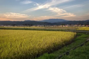 Mount Fuji Views in Hakone: Best Spots for Iconic Photos &amp; Onsens