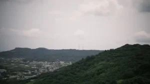 Nara on a Budget: How to Experience Nara Without Breaking the Bank