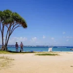 Navigating Okinawa: Do You Need a Car Rental for Your Trip?