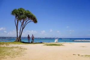 Navigating Okinawa: Do You Need a Car Rental for Your Trip?