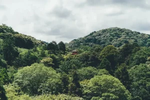 Nikko Day Trip from Tokyo: Temples, Shrines, and Nature Escapes