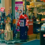 The Ultimate Nara Shopping Guide: Where to Buy What