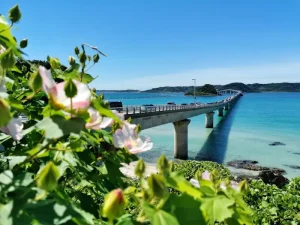 Top 7 Unforgettable Okinawa Excursions from Naha