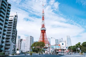 Ubigi eSIM for Japan: Seamless Connectivity on the Go