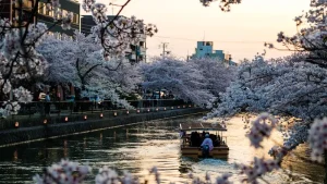 Unforgettable Kyoto Excursions: Beyond the City Temples