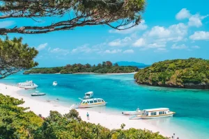 Where to Shop in Okinawa: Top Districts for Every Traveler