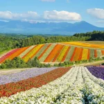 Best Time to Visit Hokkaido: Seasonal Breakdown &amp; What to Expect