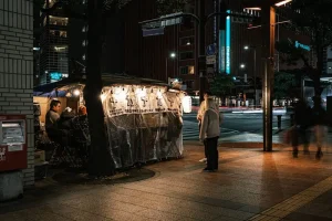 Do You Need a VPN in Japan? Staying Secure While Connected