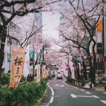 Exploring Naramachi: Nara’s Historic District Guide for Culture Lovers