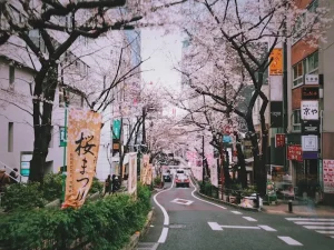Exploring Naramachi: Nara’s Historic District Guide for Culture Lovers