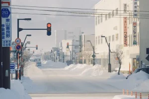 Hokkaido Travel Budget: How Much Does a Trip to Japan’s North Cost?