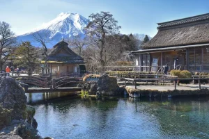 Long-Term Stays in Osaka: What Digital Nomads Need to Know