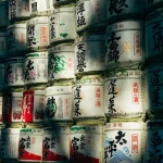 Osaka’s Street Food Scene: A Must-Try Guide to Takoyaki and Okonomiyaki