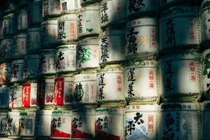 Osaka’s Street Food Scene: A Must-Try Guide to Takoyaki and Okonomiyaki