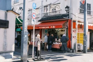 Paying for Transport in Japan: Suica, Pasmo, and Beyond Cash