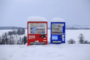 Sapporo Day Trips: The Ultimate Guide to Hokkaido’s Best Excursions