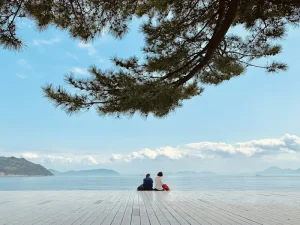 The Art of Omotenashi: Why Japanese Service is Unparalleled