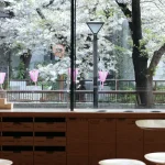 The Ultimate Guide to Japan’s Upcoming Digital Nomad Visa (What We Know So Far)
