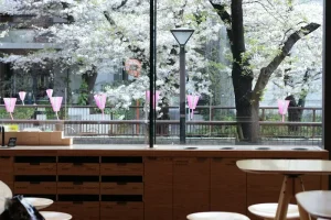 The Ultimate Guide to Japan’s Upcoming Digital Nomad Visa (What We Know So Far)