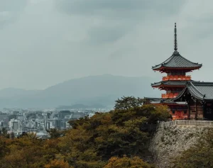 Visiting Nara with Kids: A Family-Friendly Guide to Deer &amp; Temples