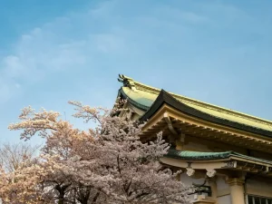 Getting to Nikko: Your Transportation Guide from Tokyo and Beyond