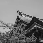 Mount Fuji Views in Hakone: Best Spots and Photography Tips