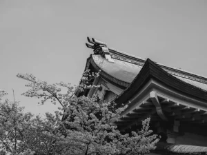 Mount Fuji Views in Hakone: Best Spots and Photography Tips