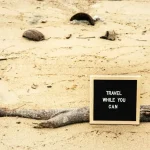 Sound More Natural: Tips for Japanese Pronunciation &amp; Intonation