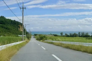 Unveiling Okinawa’s Rich History &amp; Unique Ryukyuan Culture