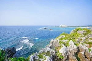 What to Buy in Okinawa: Your Essential Souvenir Checklist