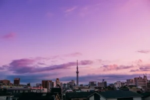 What to Pack for Tokyo: Seasonal Essentials &amp; Travel Tips